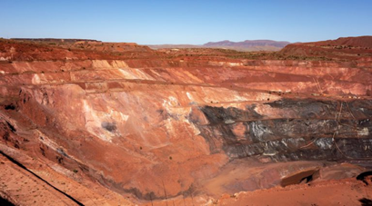 Newsletter 11-08-2025