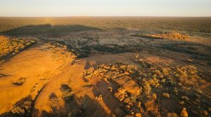 Newsletter 27-10-2025