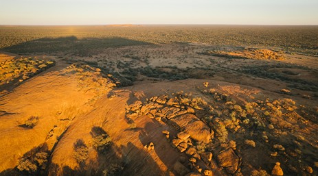 Newsletter 27-10-2025