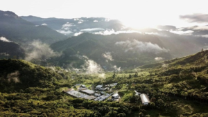 Newsletter 1-12-2025