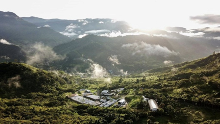 Newsletter 1-12-2025