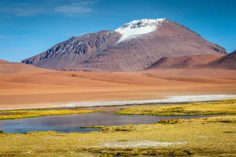 Newsletter 29-12-2025