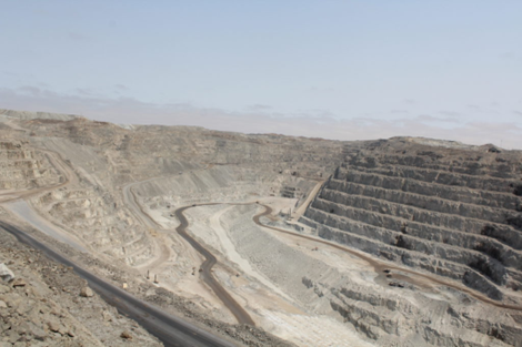 Newsletter 20-04-2026